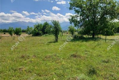 Teren intravilan 5000 mp pe Valea Avrigului, Sibiu - 4