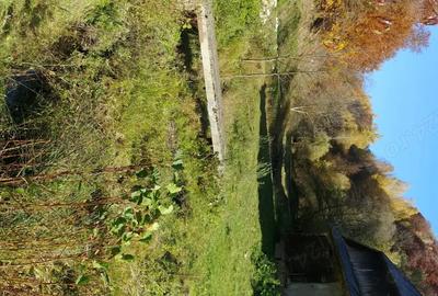 Casă cu 3 camere cu Teren 140000 Mp în Preluca Nouă - 3