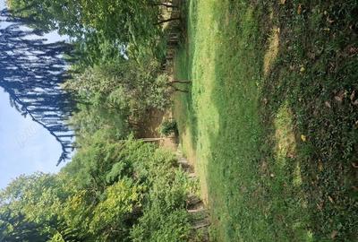 Csa 2 camere. Cosesti-Arges. - 10