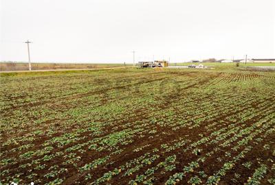 Teren de 5000 mp, în Sânnicolau Român - 11