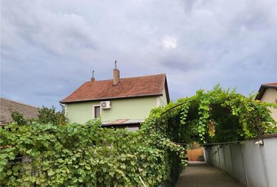 Casă cu 5 camere în Jimbolia - 7