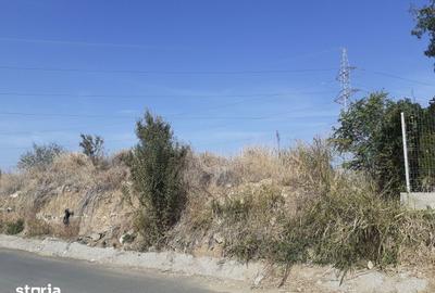 Teren de 6962 mp, în Cernica - 2