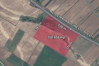 Teren agricol extravilan de 200000 mp, în Florești-Stoenești - 4