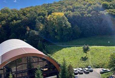 3D!Rezidenta decomandata,mobilata, accesorizata,priveliste montana,Racadau, Bras - 11