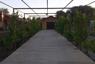 HORIA - 3 CAMERE ,SUPRAFATA 100 MP,TEREN 3000 MP CU DESCHIDE - 18