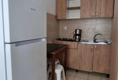 Garsonieră în Dragoș Vodă - 6