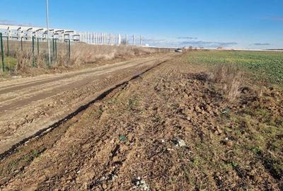 Teren de 44000 mp, în Cârcea - 4