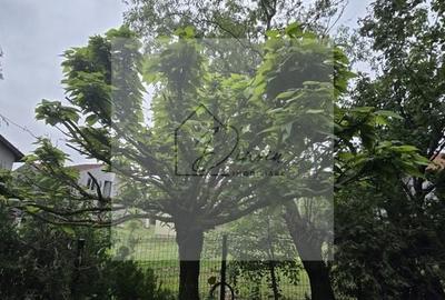 Vila 5 camere LUX Voluntari - Cartier Henri Coanda - 1