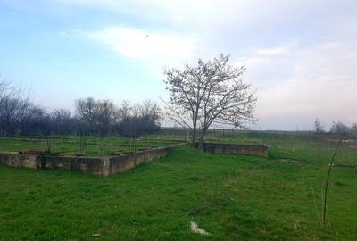 Casă cu 2 camere în Nădab - 1