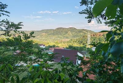 Casă cu 2 camere cu Teren 3600 Mp în Bejan - 3