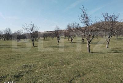 Spațiu comercial, în Aninoasa - 5