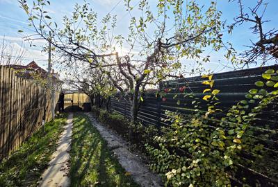 Casă cu 5 camere cu Teren 500 Mp în Balotești - 3