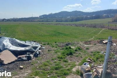 Teren de 40000 mp, în Central