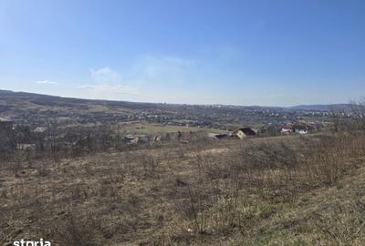 Teren de 2900 mp, în Borhanci - 3