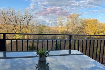 Apartament de lux Malul Muresului-Micalaca - 8