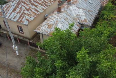 Casa individuala/sat Dobreni comuna Varasti - 2