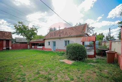 Casa cu 4 camere de vanzare  si teren 4063 mp, in Ineu, Bihor - 10