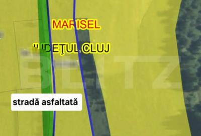 Teren de 5446 mp, în Mărișel