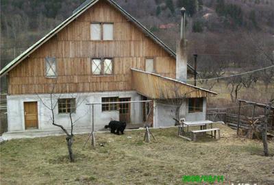 Casă cu 3 camere cu Teren 2500 Mp în Sălătrucu - 12