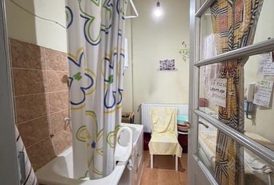 Duplex cu 2 camere cu Teren 202 Mp în Ana Ipătescu - 9
