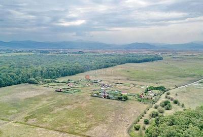 Teren de 22700 mp, în Hărman - 2