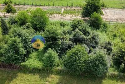 Teren intravilan com. Alexandru cel Bun- Viisoara - 8