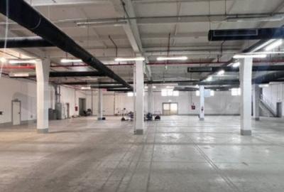 Hala Moderna in LUDUS la 7 km de autostrada, la cheie. - 1