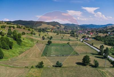 Teren Manastirea Humorului / Strada Principala 22,238 MP - 2