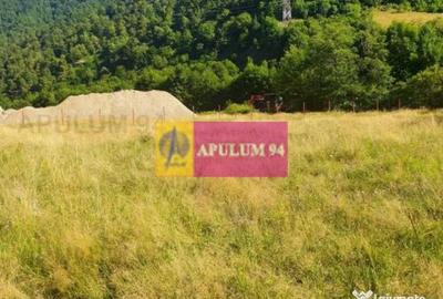 Teren de 744 mp, în Brezoi - 2
