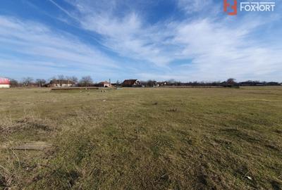 Teren Construcții intravilan de 6400 mp, în Pădureni (Jebel) - 13