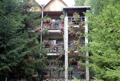 Casă cu 8 camere cu Canalizare în Voroneț - 2