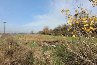 Vanzare teren intravilan - 1654 mp - strada Amurgului - Ursa?i - 4