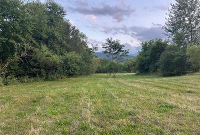 Teren Construcții intravilan de 3200 mp, în Dejani - 4