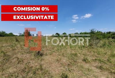COMISION 0% Teren de vanzare intravilan de 5000 mp in Chisoda - 13