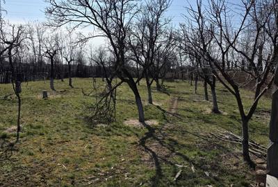 Casă cu 4 camere cu Teren 2579 Mp în Colanu - 7