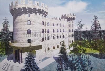 Proprietate specială, de 4,000 mp, în Rânca - 6