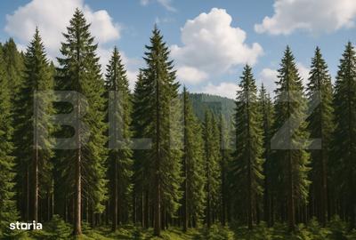 Spațiu comercial, în Central - 1