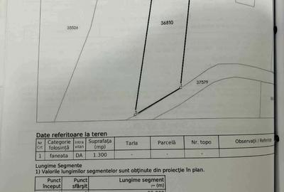 Spațiu comercial, în Păușești - 3