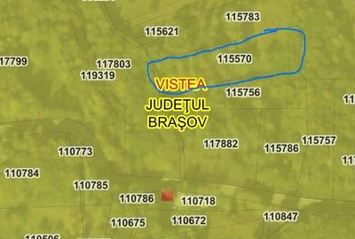 Teren de 4900 mp, în Viștișoara - 1