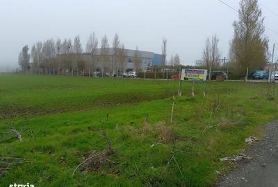 Spațiu comercial, în Lumina - 4