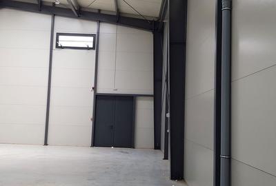 Spațiu comercial, de 397 mp, în Chitila