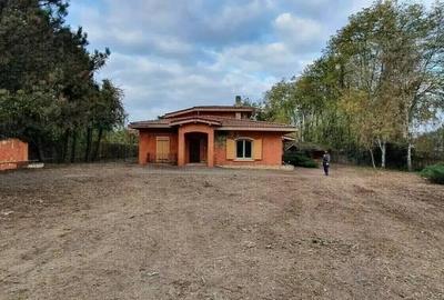 Teren cu Casa BONUS deschidere la Lacul Snagov - 4