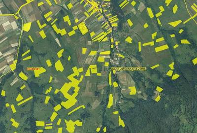 Teren de 3700 mp, în Dalboșeț - 7