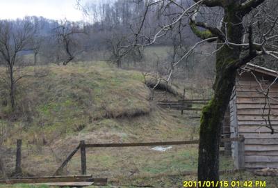 Vand teren in Ranusa - 15