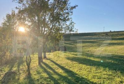 Casa cu 10000mp de teren in Buza, la 50 km de Cluj-Napoca - 3