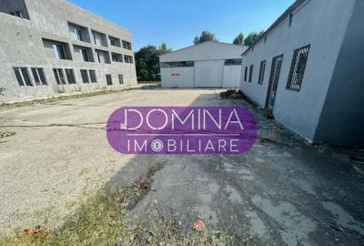 Hala industriala, Targu Jiu, strada Tineretului - 3