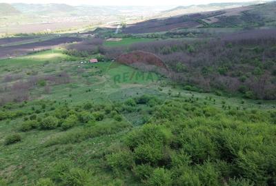 Teren de 659000 mp, în Central - 5