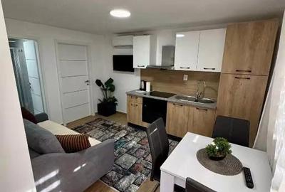 Apartament cu 2 camere decomandat în Lipovei
