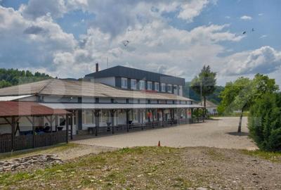 Casă cu 15 camere cu Teren 5000 Mp în Central - 9