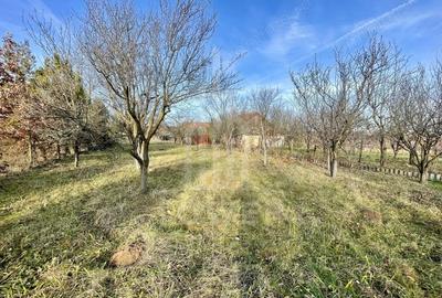 Teren intravilan 1.915 mp + cabana din lemn | Tocile Sadu - 2